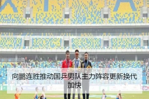 向鹏连胜推动国乒男队主力阵容更新换代加快